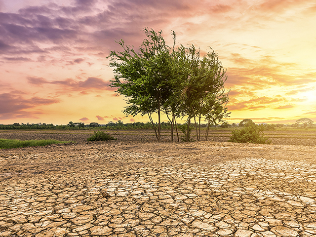 Changement-climatique-Centre-de-Recherche-en-Gestion-de-la-Biodiversite-et-Changement-climatique-CRGBC